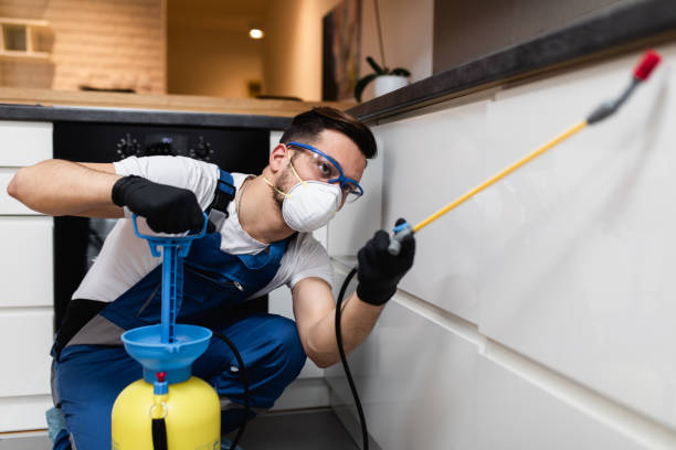 Best Bed Bug Extermination  in The Hideout, PA