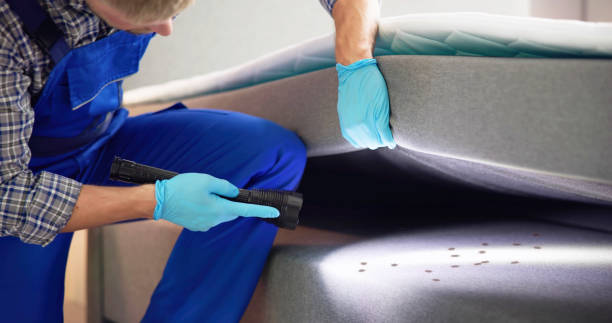 Best Local Pest Control Services  in The Hideout, PA