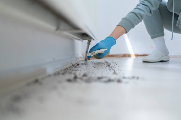 Best Commercial Pest Control Services  in The Hideout, PA