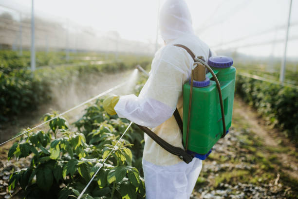 Best Best Pest Control Companies  in The Hideout, PA